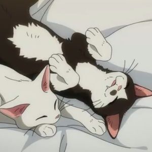 Meet your Posher, Melanie